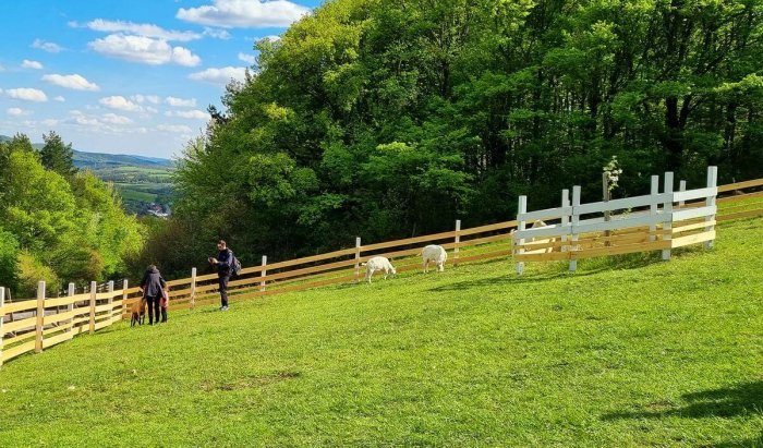 Ukážeme vám FarmaPARK, kontaktnú farmu so zvieratkami pre deti