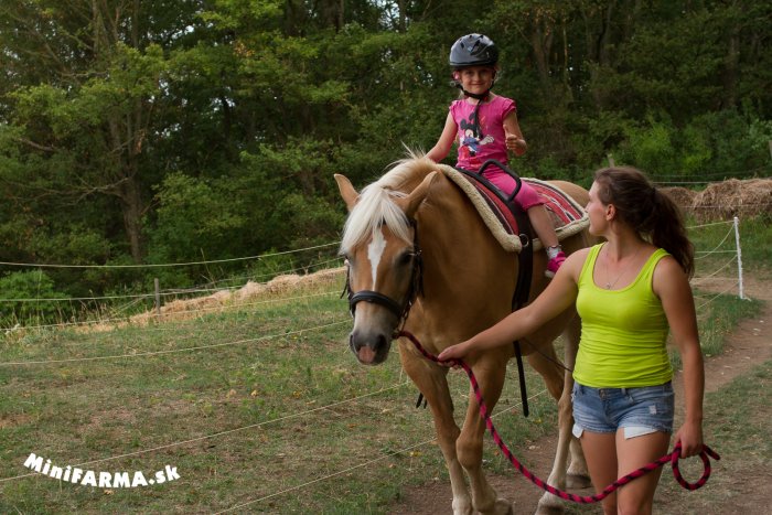 FARMAPARK Lubina je skvelé miestečko plné zážitkov. Jeho návšteva je ideálnou možnosťou pre koncoročné a poznávacie výlety s detičkami, pre školy, skupiny aj denné tábory.