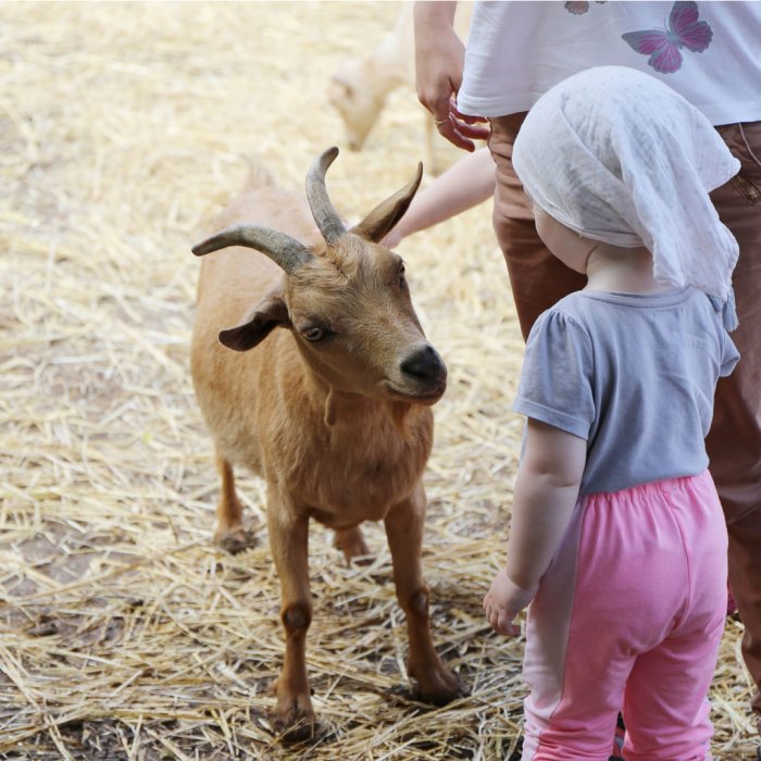 Farmaparkárske