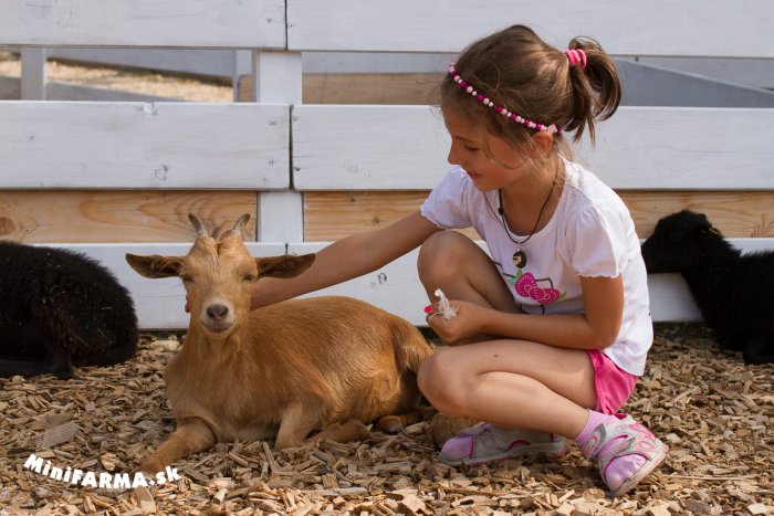 FARMAPARK Lubina je skvelé miestečko plné zážitkov. Jeho návšteva je ideálnou možnosťou pre koncoročné a poznávacie výlety s detičkami, pre školy, skupiny aj denné tábory.